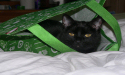 Trying to hide.