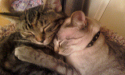 Luna & Monique